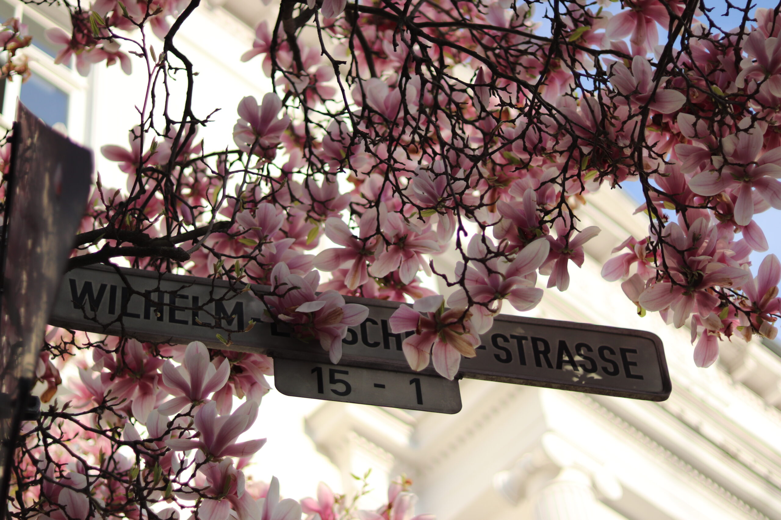 Ein Bild welches ein Straßenschild zeigt das mit Blumen verzehrt ist